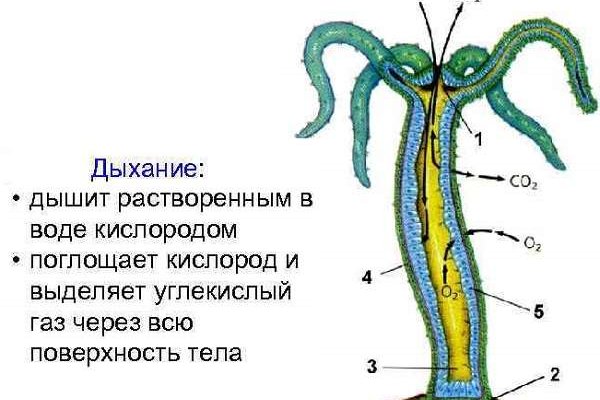 Кракен это наркотики
