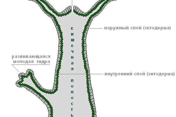 Кракен сайт работает