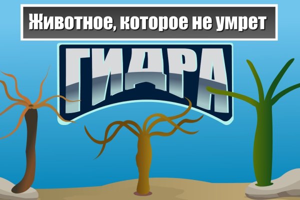 Кракен маркетплейс ссылка тг