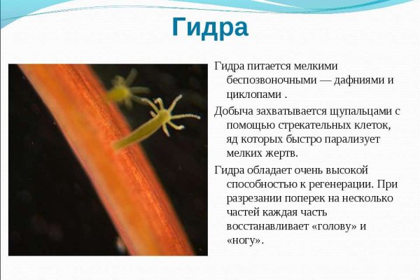Кракен тор gigageek ru
