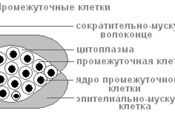 Кракен торговая kr2web in