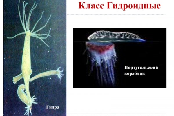 Kraken 13at сайт